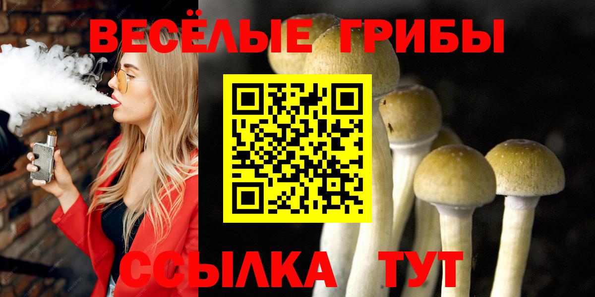 Лениногорск  Псилоцибиновые грибы GOLDEN TEACHER  Вход с VPN 