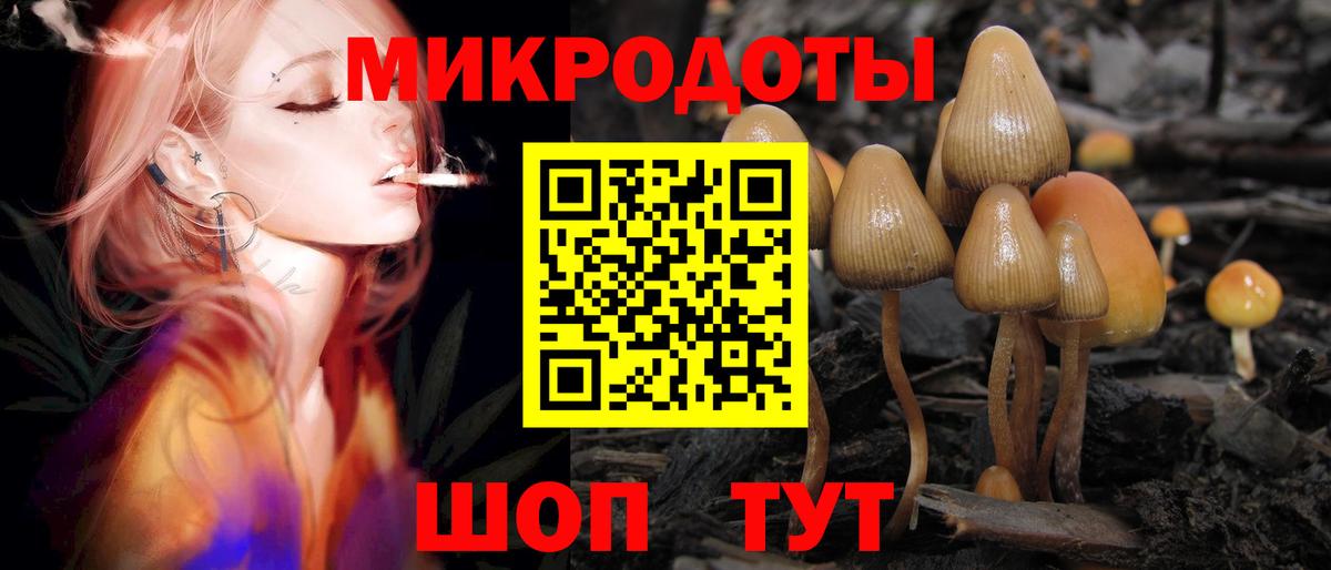 Псилоцибиновые грибы прущие грибы Лениногорск